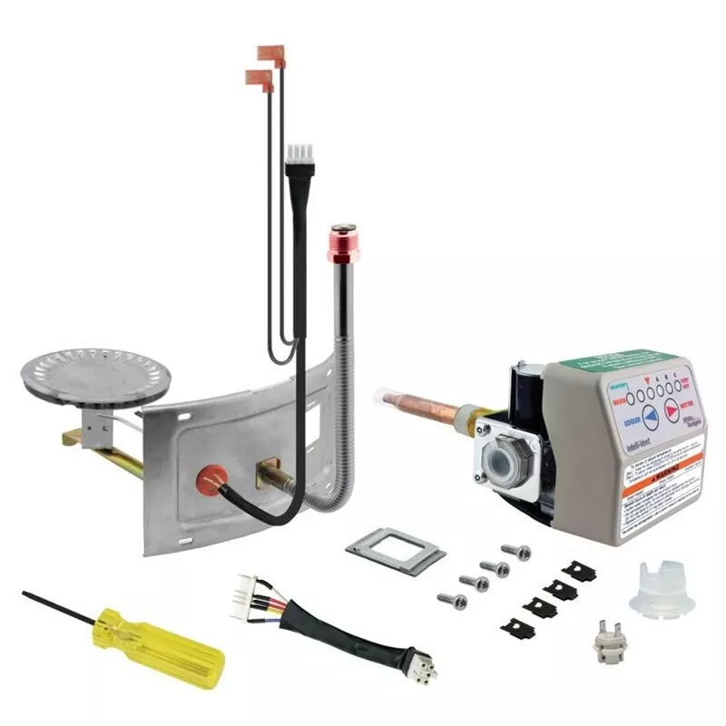 Rheem Gas Control (Thermostat) / Burner Assembly Retrofit Kit – LP SP20171B